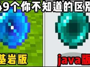 探索不同维度：我的世界基岩版与JAVA版深度对比