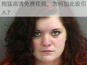 女人与拘猛高清免费视频、女人与拘猛高清免费视频，为何如此吸引人？