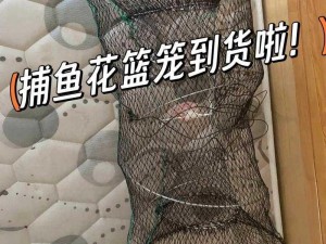 奶牛镇的小时光捕鱼笼获取攻略：一步步教你轻松入手捕鱼神器