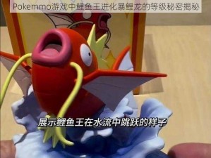 Pokemmo游戏中鲤鱼王进化暴鲤龙的等级秘密揭秘