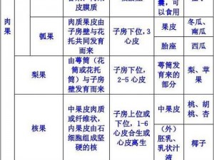 j啊vascript 的成熟分类有哪些？