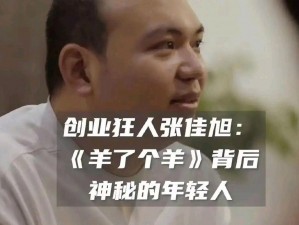 羊了个羊创始人张佳旭：我没有日入 468 万