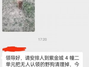 小如在破旧仓库和流浪狗的故事引发热议