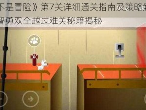 《这不是冒险》第7关详细通关指南及策略解析攻略，智勇双全越过难关秘籍揭秘