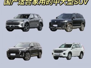 国产 SUV 精二区 80 岁：家用经济实用，城市出行好帮手