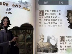 哈利波特魔法觉醒输出型伙伴卡强度解析：探寻顶尖魔法力量的秘密