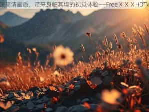 超高清画质，带来身临其境的视觉体验——FreeⅩⅩⅩHDT∨