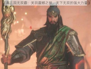 《真三国无双霸：关羽震撼之技，天下无双的强大力量》