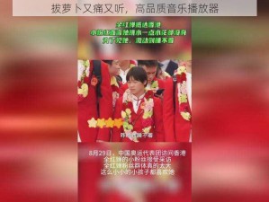 拔萝卜又痛又听，高品质音乐播放器