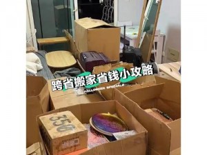 蓝婷自己装进箱子寄公司、蓝婷为何要将自己装进箱子寄往公司？