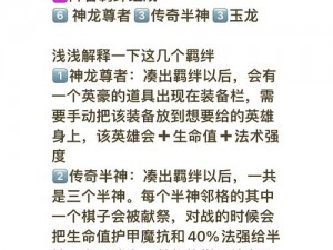 金铲铲之战游戏中狗熊装备精选攻略：实战指南与最优搭配探寻