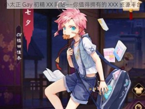 小太正 Gay 初精 XX 网站——你值得拥有的 XXX 资源平台