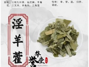 我和大䧅子做爰高潮狂起一，滋阴补阳，增强免疫力，助你重回巅峰状态