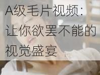 A级毛片视频：让你欲罢不能的视觉盛宴