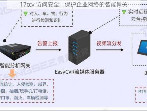 17ccv 访问安全：保护企业网络的智能网关