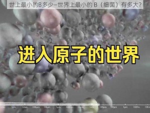 世上最小的B多少—世界上最小的 B（细菌）有多大？