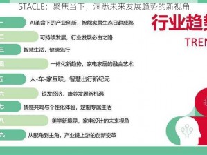 STACLE：聚焦当下，洞悉未来发展趋势的新视角