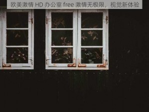 欧美激情 HD 办公室 free 激情无极限，视觉新体验