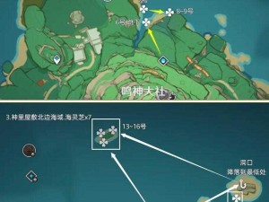 原神海灵芝全地图分布图一览，轻松掌握采集地点