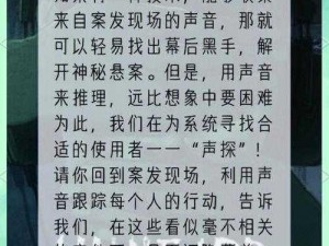 疑案追声之乌鸦关卡解密攻略：揭秘过关技巧与策略全解析