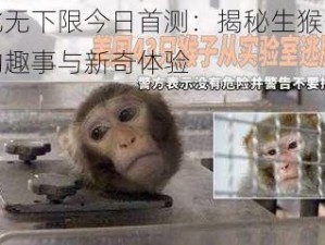 逗比无下限今日首测：揭秘生猴子背后的趣事与新奇体验