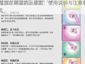 跳DAN是放在哪里的示意图 跳 DAN 是放在哪里的示意图：使用说明与注意事项