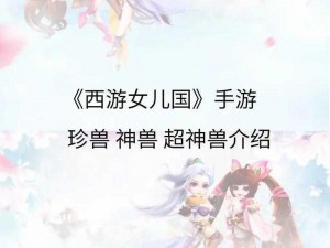 以西游女儿国主流宝宝打书攻略为核心的全面指南