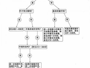 绿帷逐叶柯莱的永久获取之道：探究其可能性与实现路径