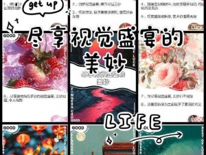 最新仙踪林视频-欢迎您，高清画质，精彩内容不断，让您尽享视觉盛宴