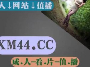 精品无人区麻豆乱码 1 区 2 区，畅享极致视觉体验的必备神器