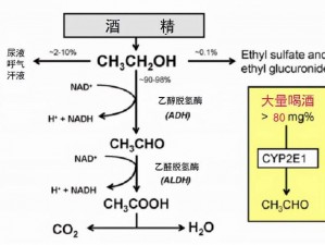 蒸馏过滤：战争酒转化为纯净酒精的精湛工艺揭秘