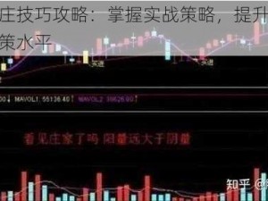 升级坐庄技巧攻略：掌握实战策略，提升坐庄能力与决策水平