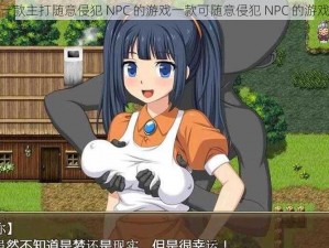 一款主打随意侵犯 NPC 的游戏一款可随意侵犯 NPC 的游戏