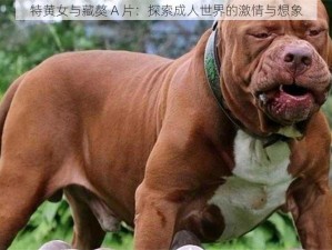 特黄女与藏獒 A 片：探索成人世界的激情与想象