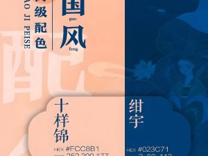 国风产精品入口九色，一款让人惊叹的艺术之作