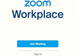 俄罗斯人与 ZOOM 人：两种不同的远程会议软件用户