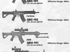适合巷战使用的枪支类型研究：XX枪的实战优势与应用场景分析