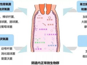 女性私处洞洞有一点点白色，可能是正常的，也可能是异常的使用[]可以帮助你保持私处健康