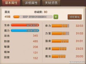 魔力宝贝手游翼龙加点攻略：攻敏加点详解及建议