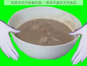 知更鸟吃开拓者的蛋——营养丰富的天然食品