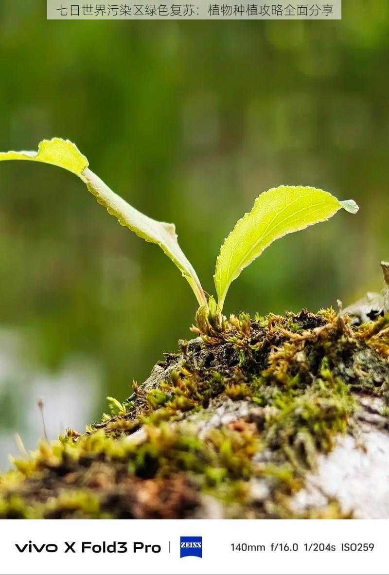 七日世界污染区绿色复苏：植物种植攻略全面分享