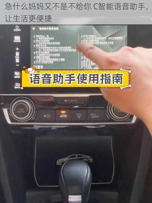 急什么妈妈又不是不给你 C智能语音助手，让生活更便捷