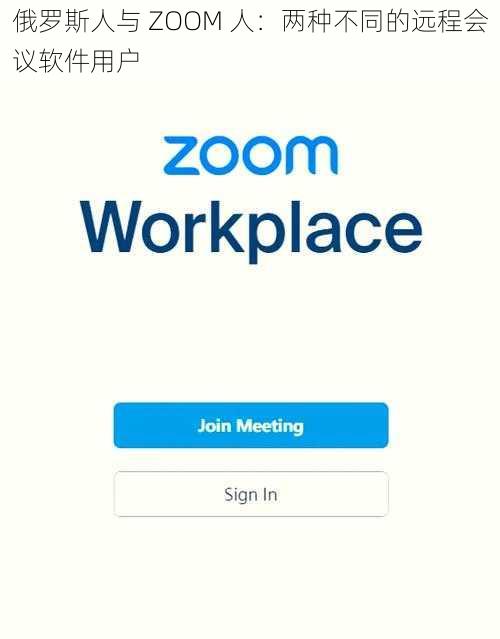 俄罗斯人与 ZOOM 人：两种不同的远程会议软件用户