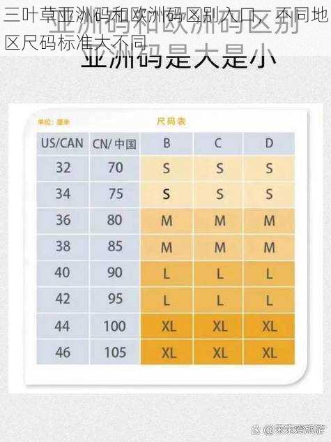 三叶草亚洲码和欧洲码区别入口，不同地区尺码标准大不同