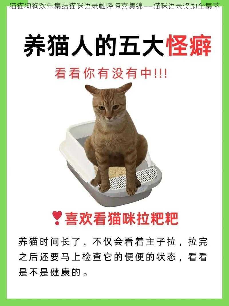 猫猫狗狗欢乐集结猫咪语录触降惊喜集锦——猫咪语录奖励全集萃