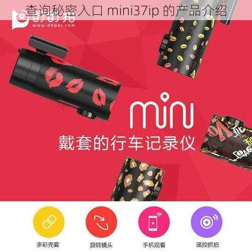 查询秘密入口 mini37ip 的产品介绍