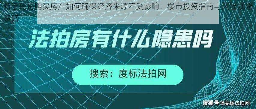 新手哥哥购买房产如何确保经济来源不受影响：楼市投资指南与风险规避策略