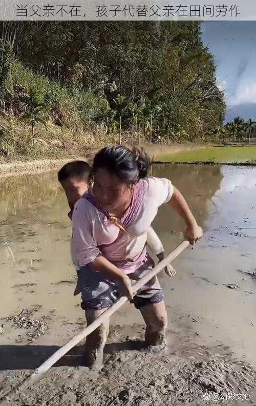 当父亲不在，孩子代替父亲在田间劳作