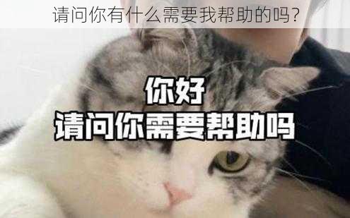 请问你有什么需要我帮助的吗？