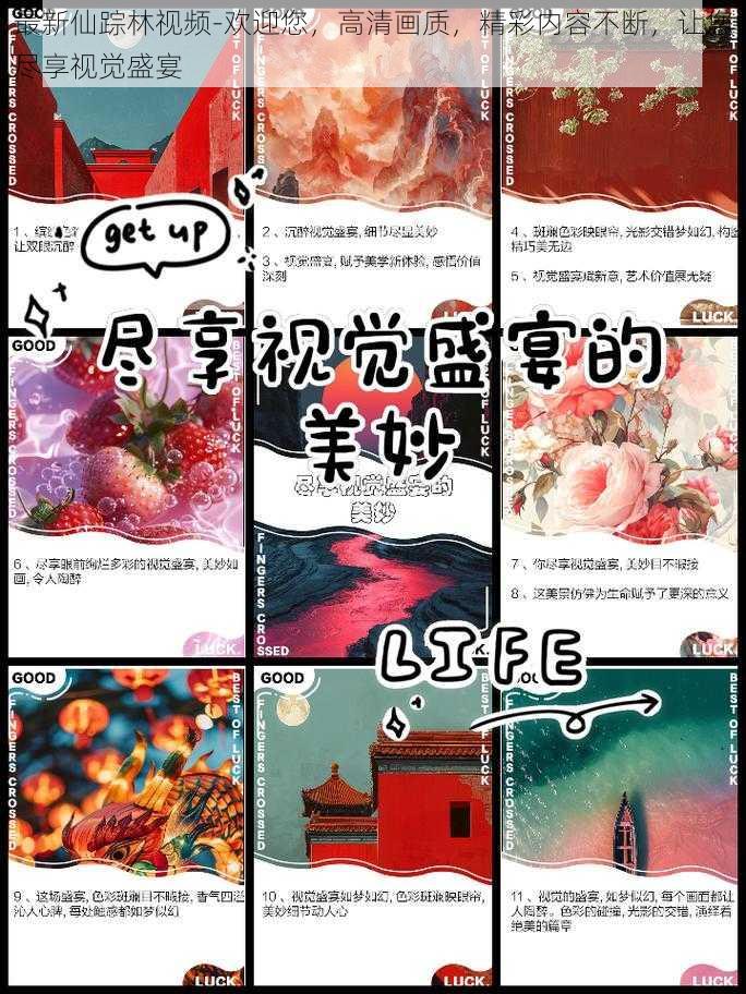 最新仙踪林视频-欢迎您，高清画质，精彩内容不断，让您尽享视觉盛宴